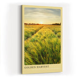 Paul Sinus Kunstdruck 40x60cm Feld Sonnenuntergang Natur Landschaft Getreide Golden Harvest