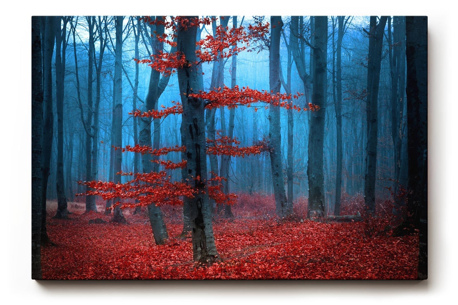 Sinus Art Wandbild 120x80cm Roter Baum vor blauem Nebel – geheimnisvoll, künstlerisch und emotional wirkungsvoll