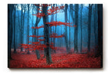 Sinus Art Wandbild 120x80cm Roter Baum vor blauem Nebel – geheimnisvoll, künstlerisch und emotional wirkungsvoll
