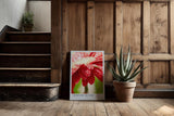 Paul Sinus Kunstdruck 40x60cm Morning Bloom – rote Blüte mit Tautropfen im Morgenlicht in Nahaufnahme