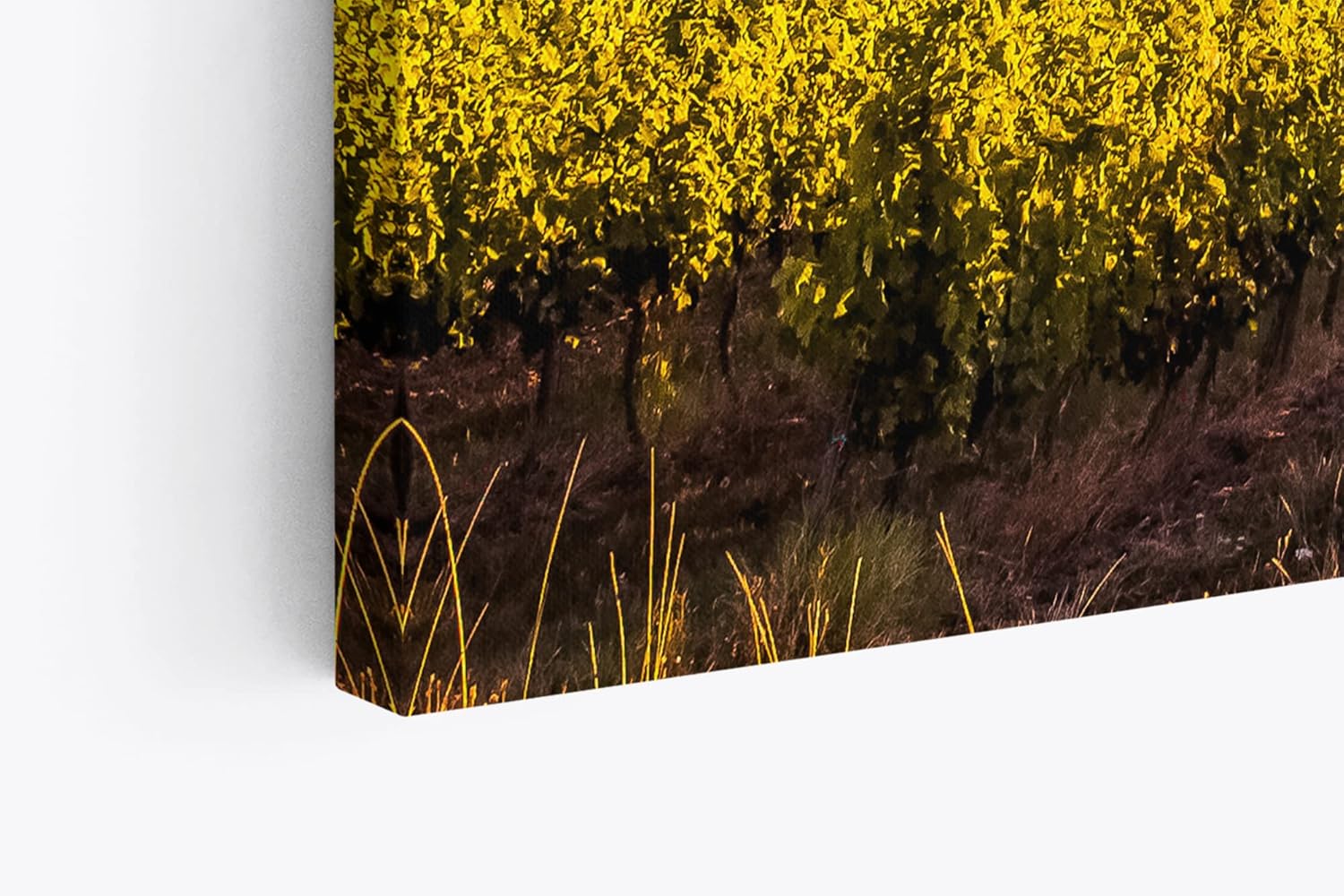 Paul Sinus Wandbild 120x80cm Frankreich Weinfelder Weinstöcke Landschaft Sonnenuntergang