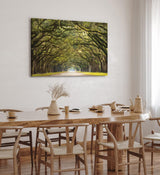 Paul Sinus Wandbild 120x80cm Baumallee Allee Bäume Straße Baumkrone Kunstvoll