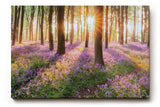 Sinus Art Wandbild 120x80cm Waldszene mit violetten Blüten und einfallender Sonne für verträumte Atmosphäre