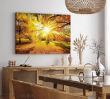 Paul Sinus Wandbild 120x80cm Herbst Herbstblätter Laub Sonnenstrahlen Baumkrone