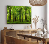 Paul Sinus Wandbild 120x80cm Wald Bäume Sonnenstrahlen Natur Grün Blätter