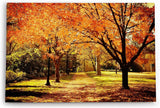 Wandbild 120x80cm Herbst Park Bäume Herbstblätter Sonnenschein