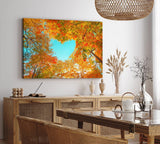 Paul Sinus Wandbild 120x80cm Baumkrone in Herzform Herbstblätter Herbst blauer Himmel