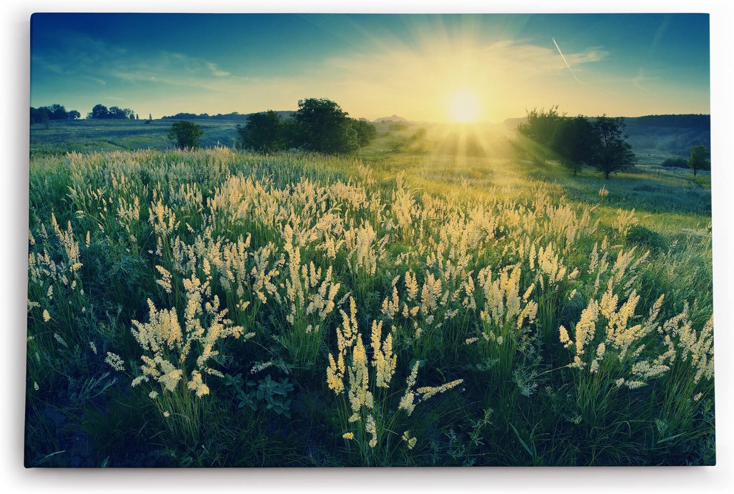 Paul Sinus Wandbild 120x80cm Sonnenuntergang Wildblumen Wiese Natur Landschaft