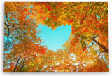 Paul Sinus Wandbild 120x80cm Baumkrone in Herzform Herbstblätter Herbst blauer Himmel