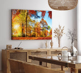 Paul Sinus Wandbild 120x80cm Wald Bäume Herbst Sonnenschein Herbstblätter Natur