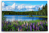 Paul Sinus Wandbild 120x80cm See Natur Tannenwald Blumen Blüten Sommer