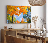 Paul Sinus Wandbild 120x80cm Herbstblätter Herbst blauer Himmel Baumkrone