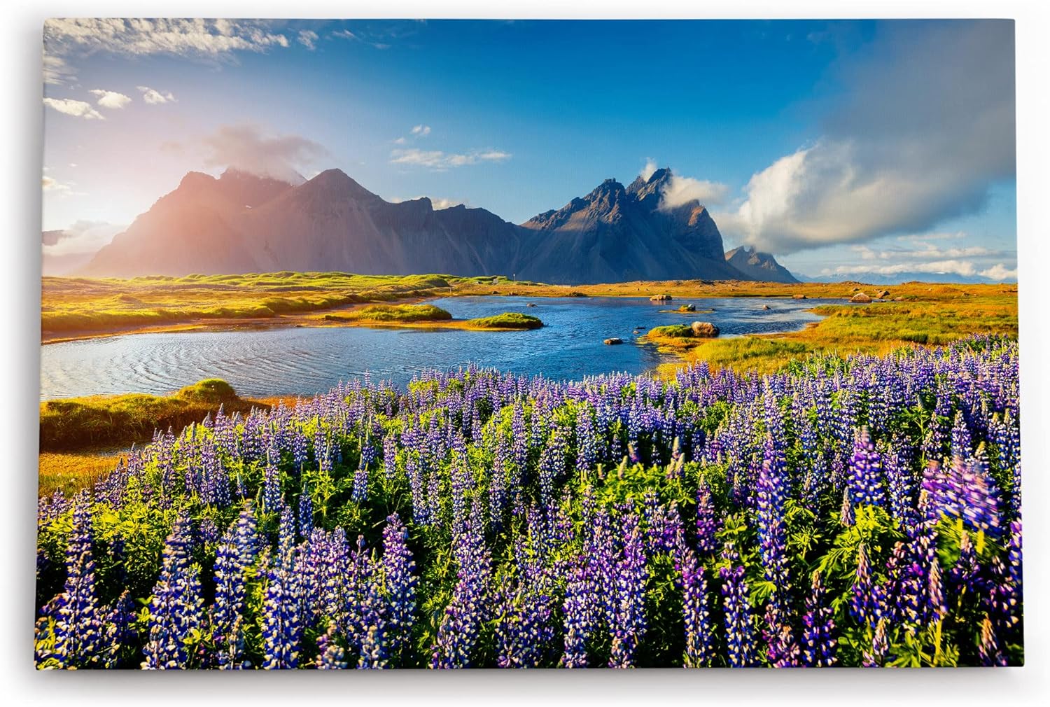 Paul Sinus Wandbild 120x80cm Stokksnes Inland Berge Landschaft Blumen See Natur