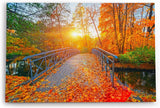 Paul Sinus Wandbild 120x80cm Herbstblätter Herbst Holzbrücke Bach Sonnenschein