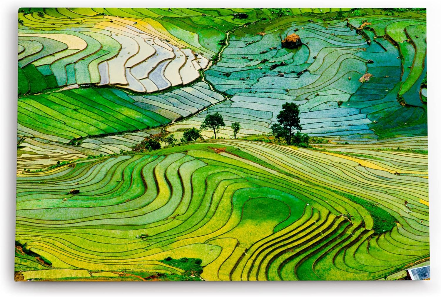 Paul Sinus Wandbild 120x80cm Reisfelder Reisanbau Grün Thailand Asien Landschaftsbild