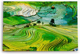 Paul Sinus Wandbild 120x80cm Reisfelder Reisanbau Grün Thailand Asien Landschaftsbild