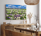 Paul Sinus Wandbild 120x80cm Gänseblümchen Blumenwiese Wiese Sommer Wildblumen