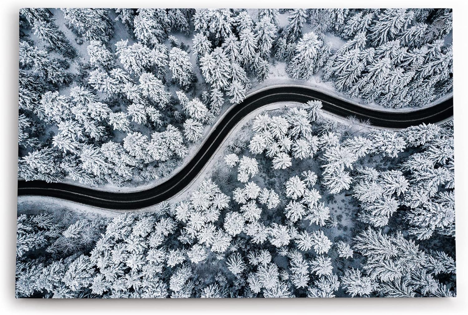 Paul Sinus Wandbild 120x80cm Wald aus der Vogelperspektive Tannenwald Waldstraße Schnee Winter