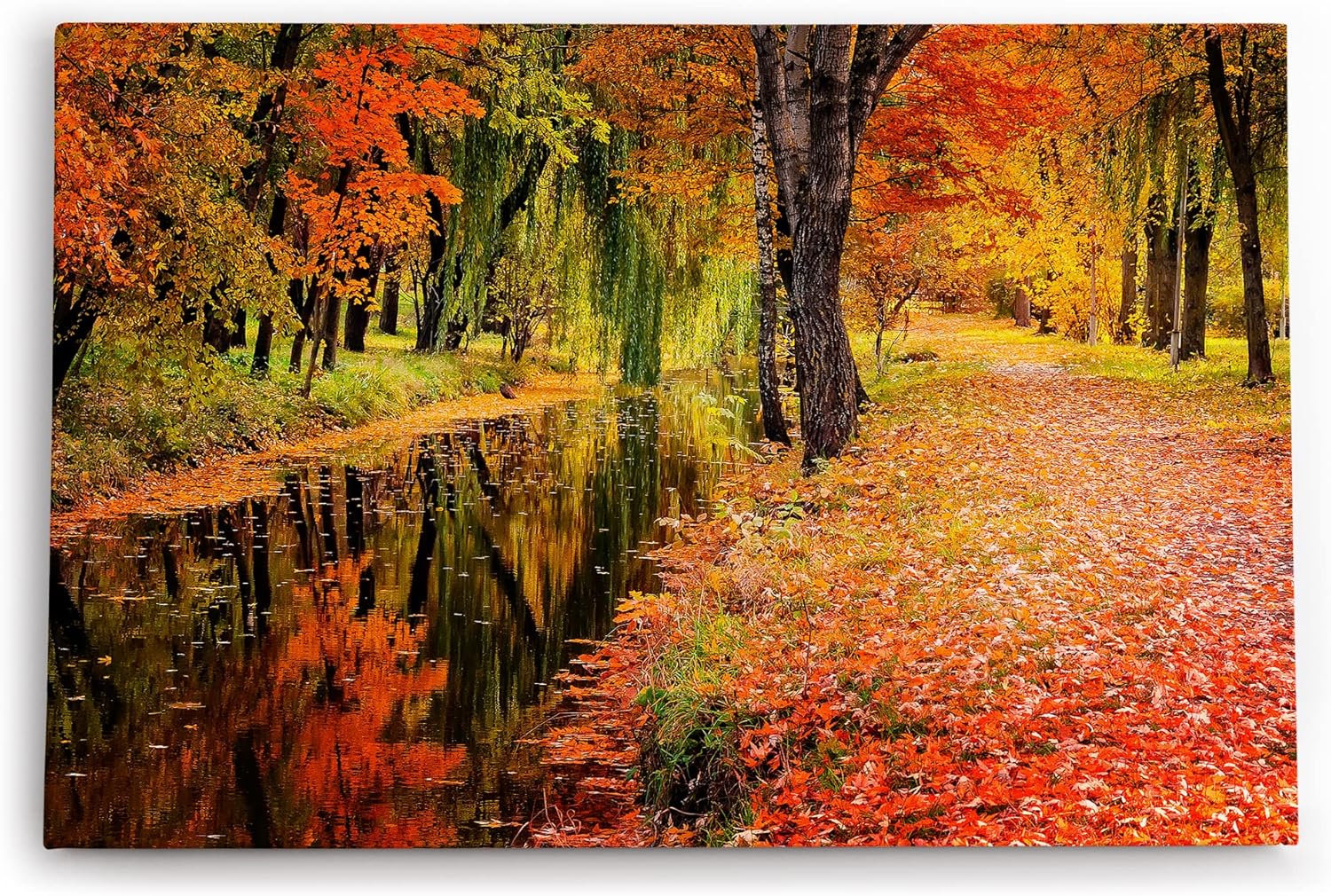 Paul Sinus Wandbild 120x80cm Herbst Herbstblätter Bach Rot Natur Laub