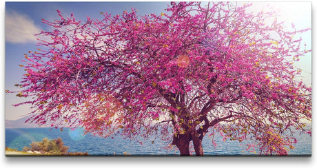 blühender Baum ca. 130x70cm Wandbild inklusive Schattenfugenrahmen weiss - Panorama Leinwand Bild XXL Format Wandbilder Wohnzimmer Wohnung Deko Kunstdrucke