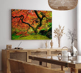 Paul Sinus Wandbild 120x80cm Großer alter Baum Grün Moos Wald Baumkrone