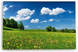 Paul Sinus Wandbild 120x80cm Landschaftsbild Wiese Bäume Natur Sommer blauer Himmel