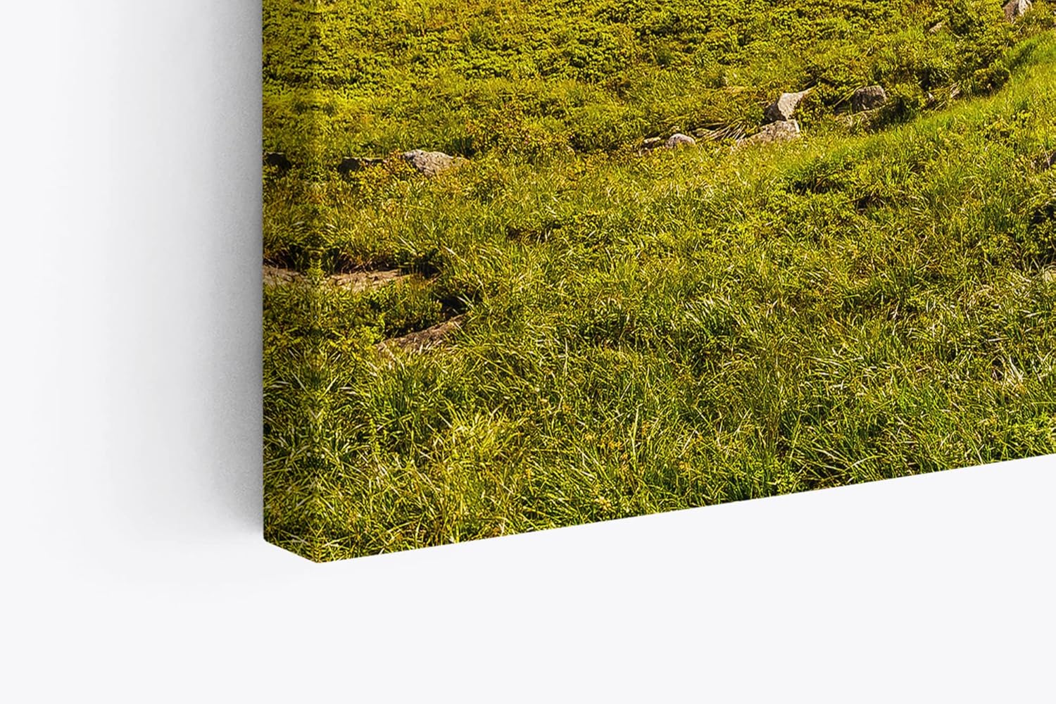 Paul Sinus Wandbild 120x80cm Südtirol Dolomiten Berglandschaft Sonnenschein Wiese