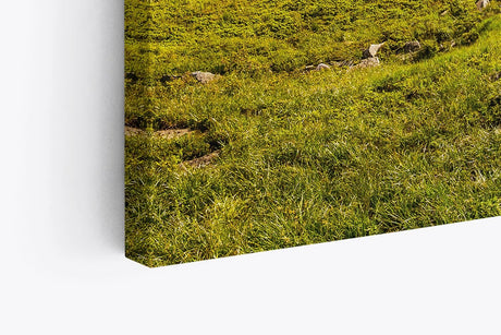 Paul Sinus Wandbild 120x80cm Südtirol Dolomiten Berglandschaft Sonnenschein Wiese