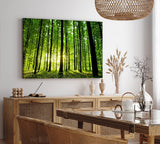 Paul Sinus Wandbild 120x80cm Wald Bäume Sonnenstrahlen Natur Sommer Grün