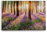 Paul Sinus Wandbild 120x80cm Wald Wildblumen Blumen Waldpfad Sonnenschein Bäume