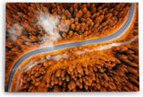 Paul Sinus Wandbild 120x80cm Luftaufnahme Wald Straße Bäume rot Herbst