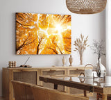 Wandbild 120x80cm Bäume Baumkronen Eiche Sonnenstrahl Sonnenschein Wald