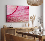 Paul Sinus Wandbild 120x80cm Blume Blüte Rosa Makroaufnahme Wassertropfen Kunstvoll