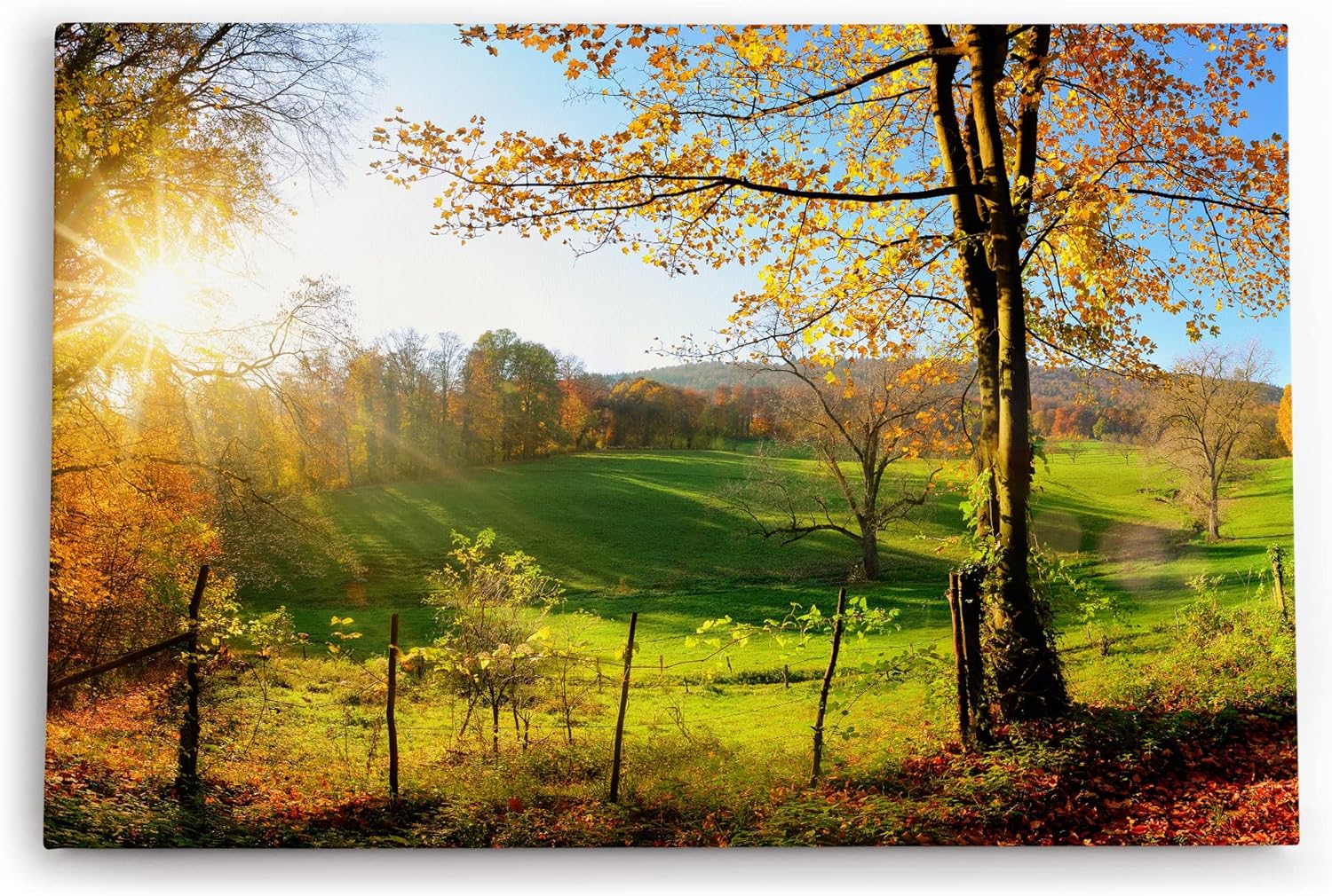Paul Sinus Wandbild 120x80cm Deutsche Landschaft Wiese Bäume Sonnenschein Herbst