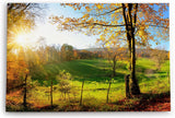 Paul Sinus Wandbild 120x80cm Deutsche Landschaft Wiese Bäume Sonnenschein Herbst