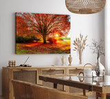Paul Sinus Wandbild 120x80cm Großer Baum Feld Sonnenuntergang Herbst Laub