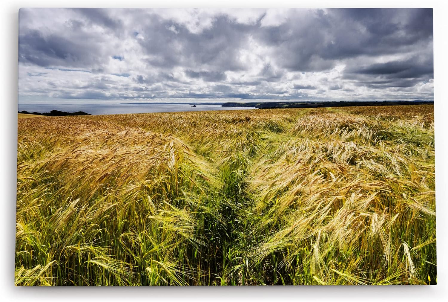 Paul Sinus Wandbild 120x80cm Weizenfeld Meer Weizen Natur Wolken Horizont