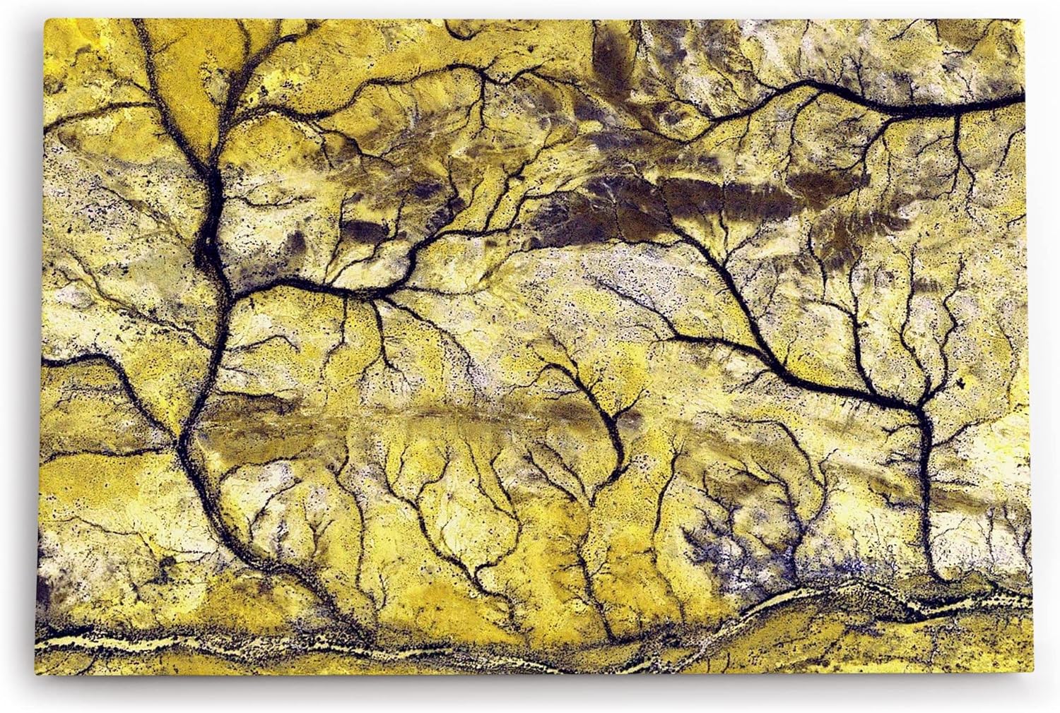 Paul Sinus Wandbild 120x80cm Luftaufnahme von der Erde Vogelperspektive Flussadern