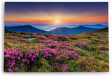 Paul Sinus Wandbild 120x80cm Alpen Berge Gebirge Bergwiese Wiese Natur Wildblumen