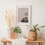 Animals_Aqua_0098F1edc01JN0dmA_1280x1280.jpg