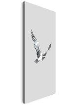 Birds_0012pOPXFi8RTW4d.jpg