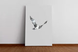 Birds_001duuU12xV9ELLt.jpg