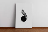 Birds_008DPGdHGMEVfiyf_1280x1280.jpg