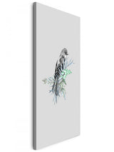 Birds_009QZgjgKWUowf1r_1280x1280.jpg