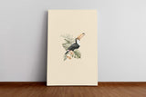 Birds_017Clv5zwbNlp4u1_1280x1280.jpg
