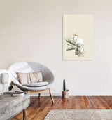 Birds_021BSyK4gqaFi337_1280x1280.jpg