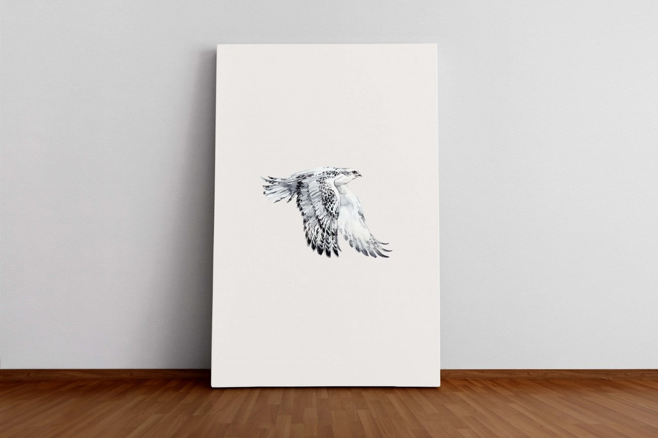 Birds_027D4jrJ7bFYikyT_1280x1280.jpg
