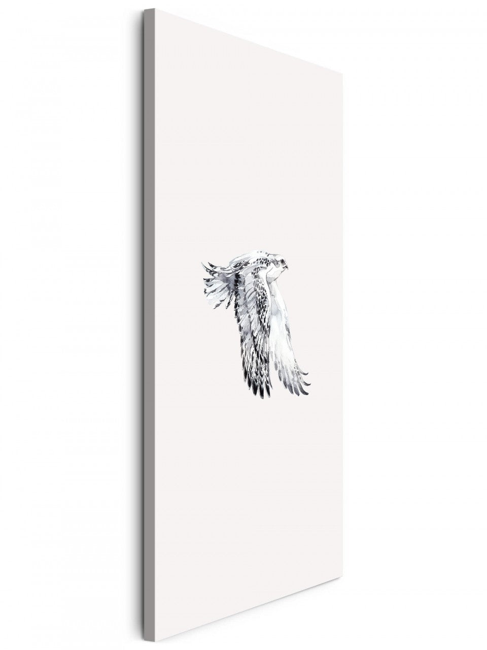Birds_027eEwkdMnLT6Ha8_1280x1280.jpg
