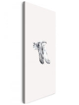 Birds_027eEwkdMnLT6Ha8_1280x1280.jpg