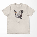 Birds_034pTyClcoDDTroS_1280x1280.jpg